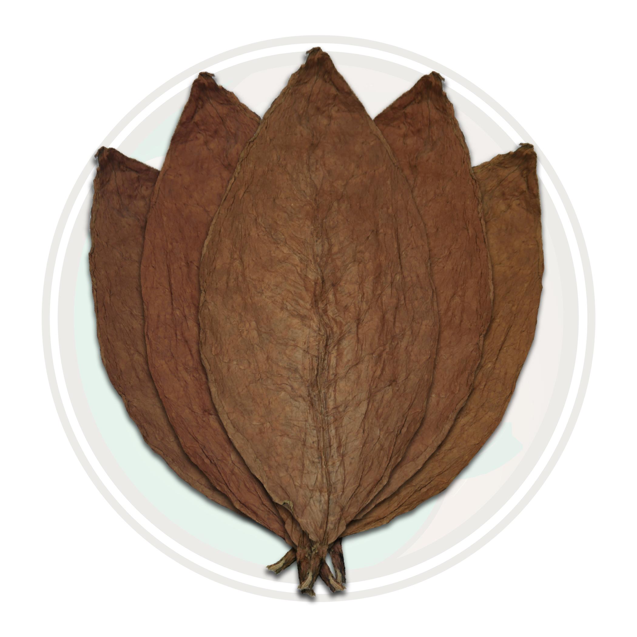 Honduran Conerican Viso Cigar Wrapper Whole Tobacco Leaf